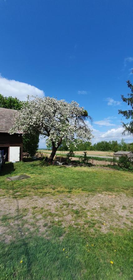 Villa Mazurska Przystan Dąbrówno Exterior foto