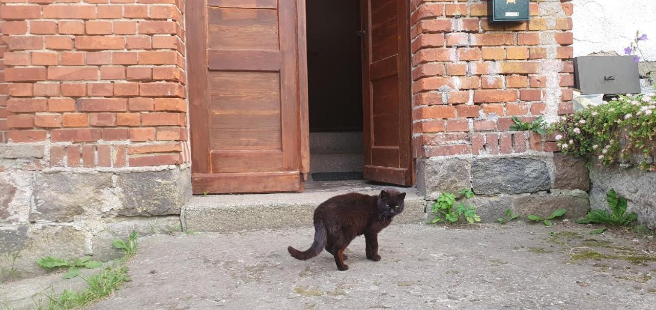 Villa Mazurska Przystan Dąbrówno Exterior foto